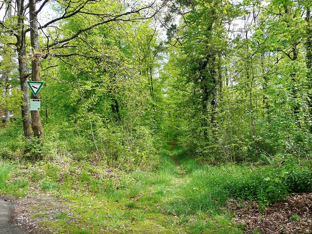 Hacksberg und Steckental
