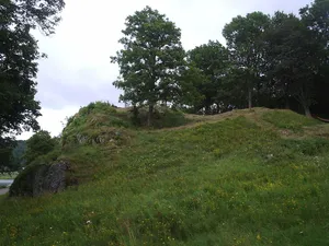 Dynge Castle