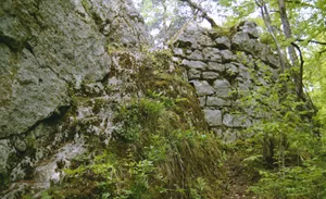 Medieval castle ruins Fürstenstein