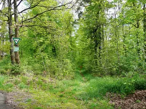 Hacksberg und Steckental
