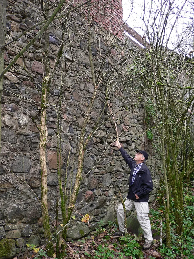 Burg Neu-Dernbach