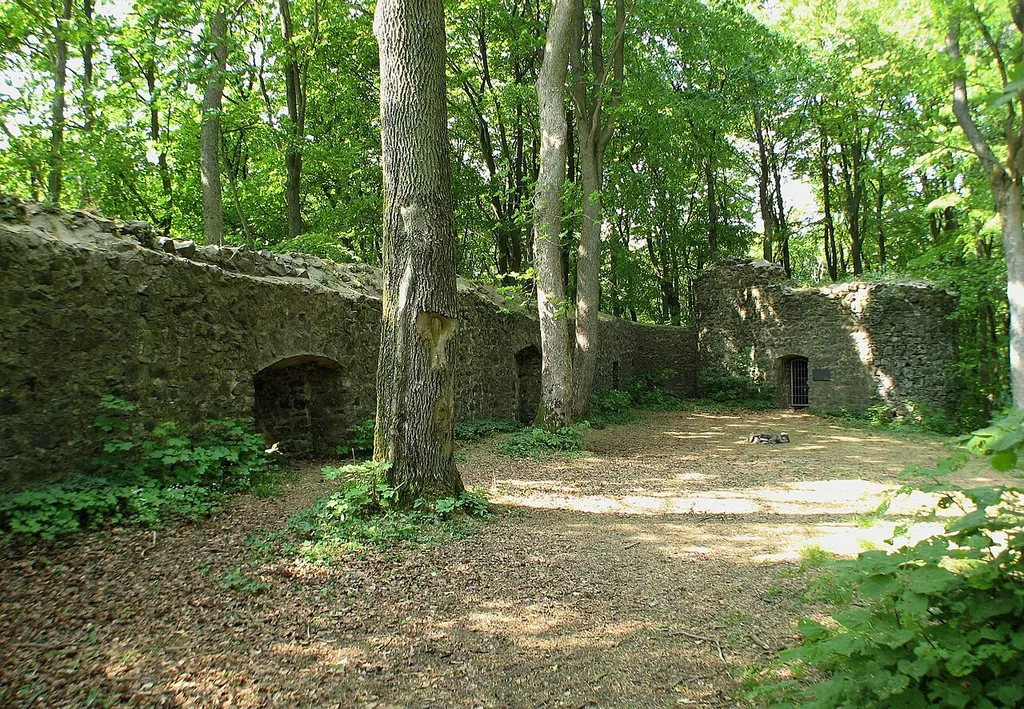 Die westliche Wehrmauer der Maienburg (Burg Eigenberg) bei Mengerskirchen Ortsteil Winkels