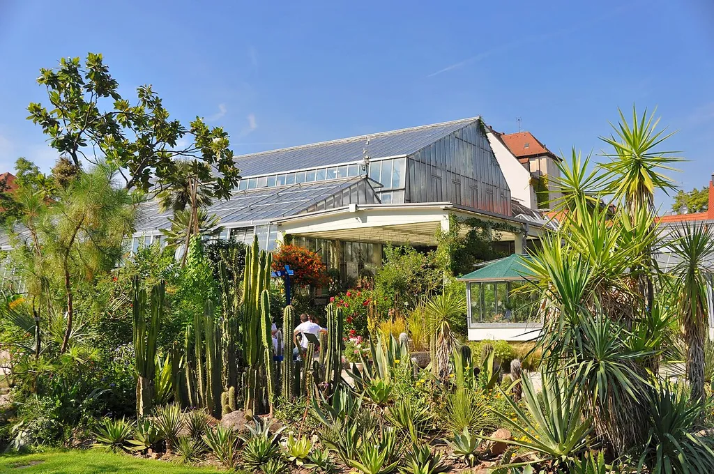Wikipedia 13. Fotoworkshop; Bilder aus dem Botanischer Garten Erlangen