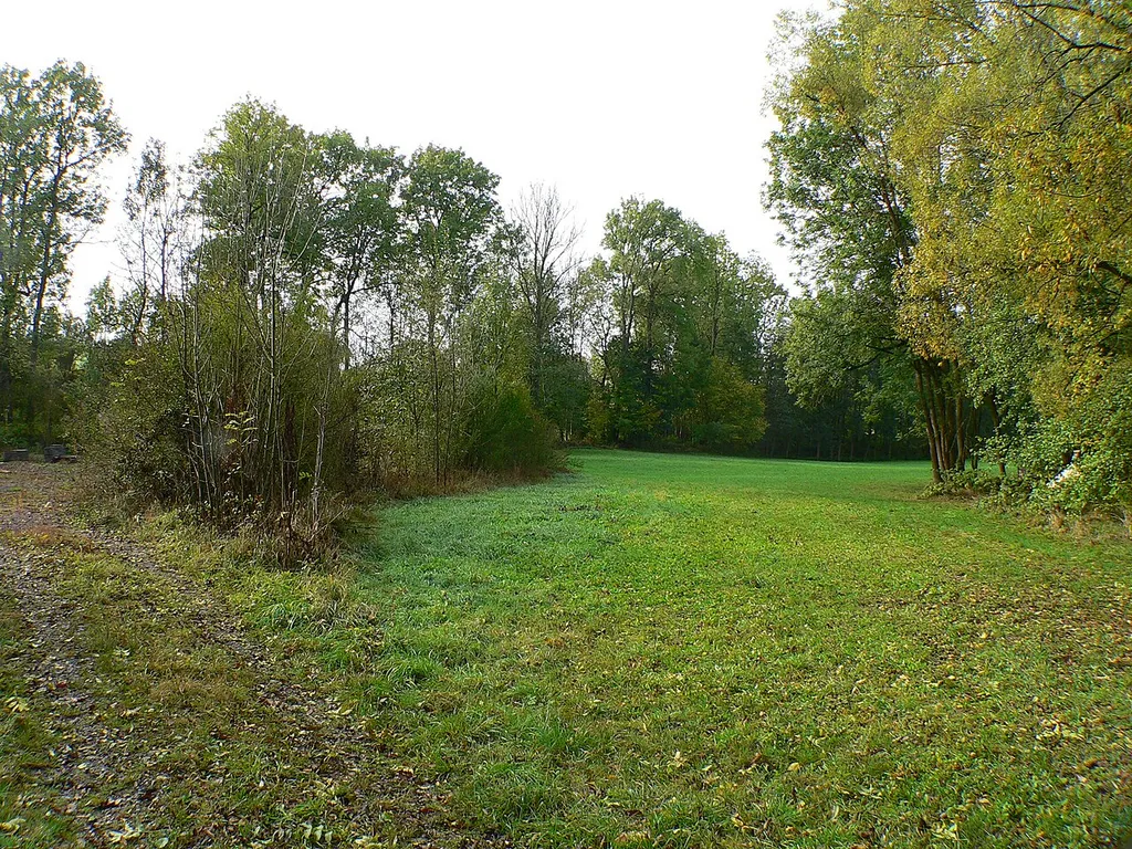 Burgstall Wasserburg Heldritt in Bad Rodach-Heldritt, Bayern, Regierungsbezirk Oberfranken, Landkreis Coburg