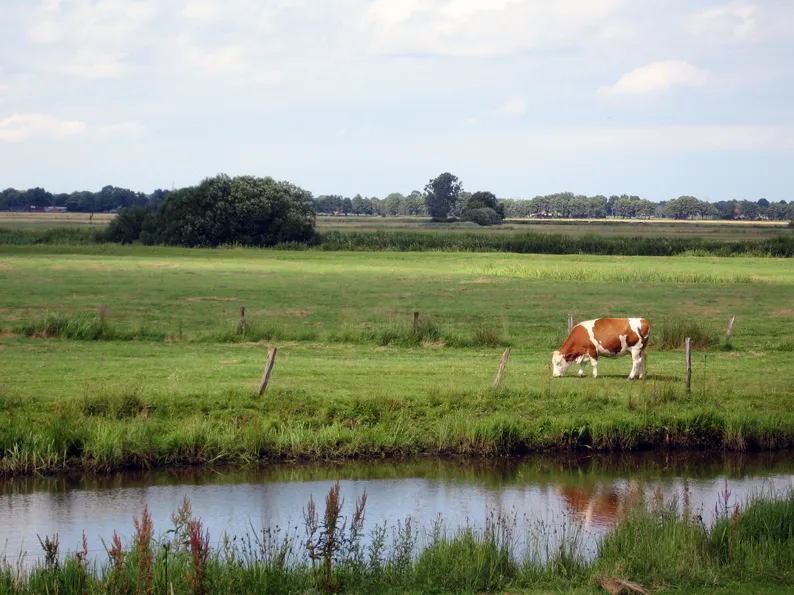 Blockland - Burgdammer Wiesen