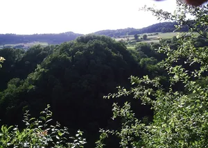 Burg Altkrenkingen