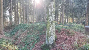 Große Schwedenschanze