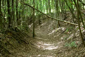 Eifgenburg