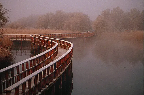 Las tablas de Daimiel