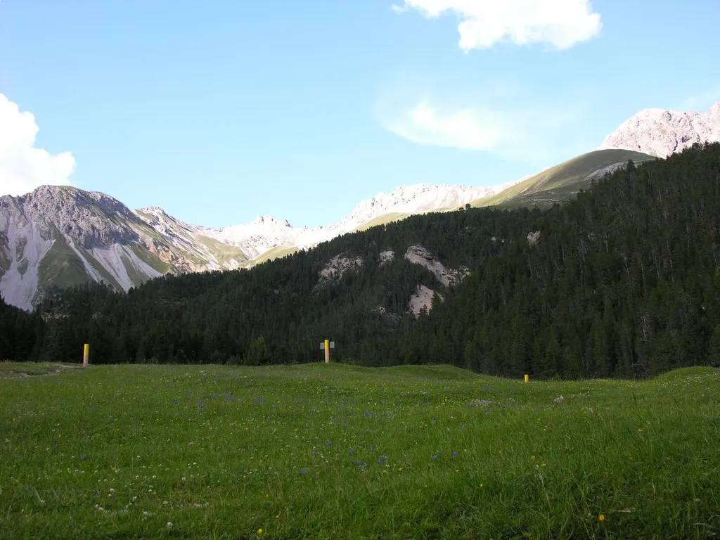 Switzerland, Graubünden, Swiss National Park