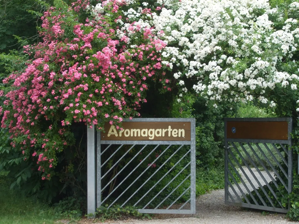 Eingang