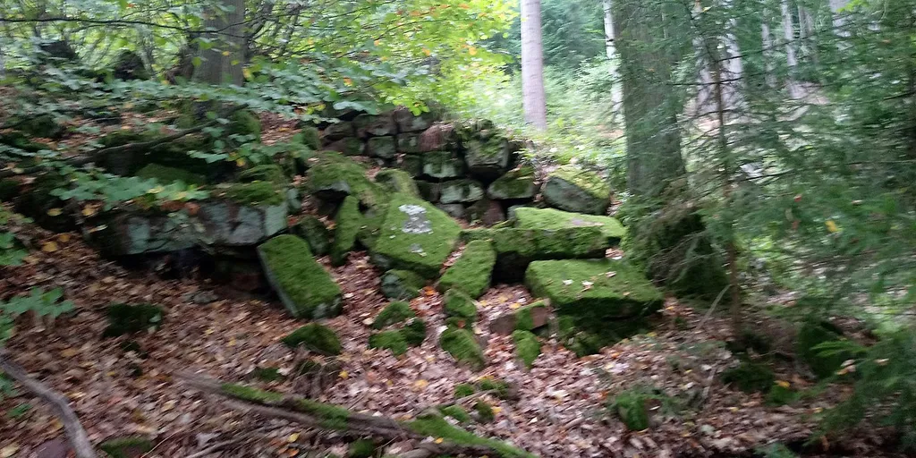 Räuberschlösschen (Freudenberg) - Mauerreste