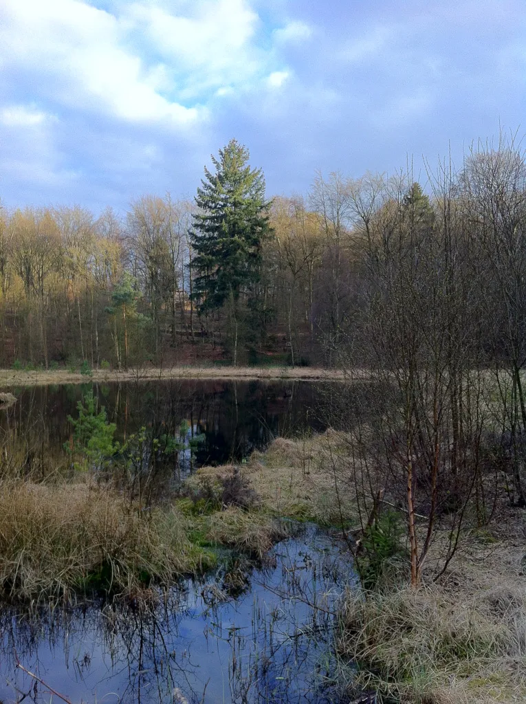 Die Aufnahme wurde vom Steg aus gemacht der mitten über den Grundlosen Kolk führt. Die ruhige Oberfläche, in der sich die umliegenden Bäume spiegeln, vermittelt den Eindruck einer endlosen Tiefe. Auch aus diesem Grund wird der Grundlose Kolk seinem Namen gerecht.