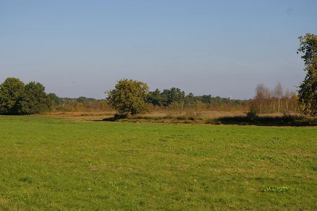 Das Große Renzeler Moor bei Renzel