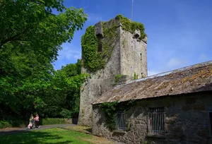 Rinville Castle