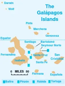 Pinzón Island