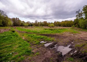 Annesley Castle