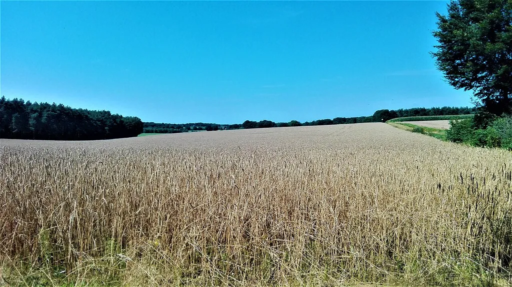 Landschaft im LSG "Hombach Finkenbach Klosterbach"
