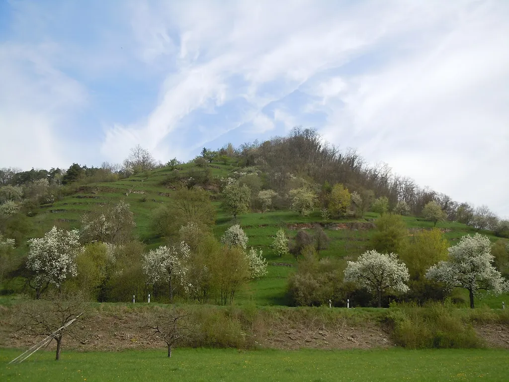 Süd-östlicher Teil des NSG Spitzberg-Ödenburg, in der Bildmitte der Spitzberg