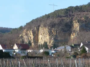 Königsbach an der Weinstraße