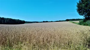 Hombach-Finkenbach-Klosterbach