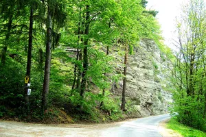 Werrahänge von Frankenroda bis Falken