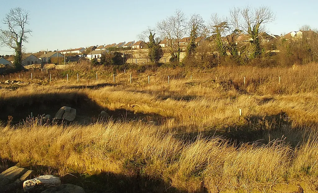 Water feature uncovered by the archaeological dig at Carrickmines