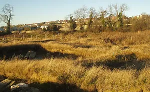 Carrickmines Castle
