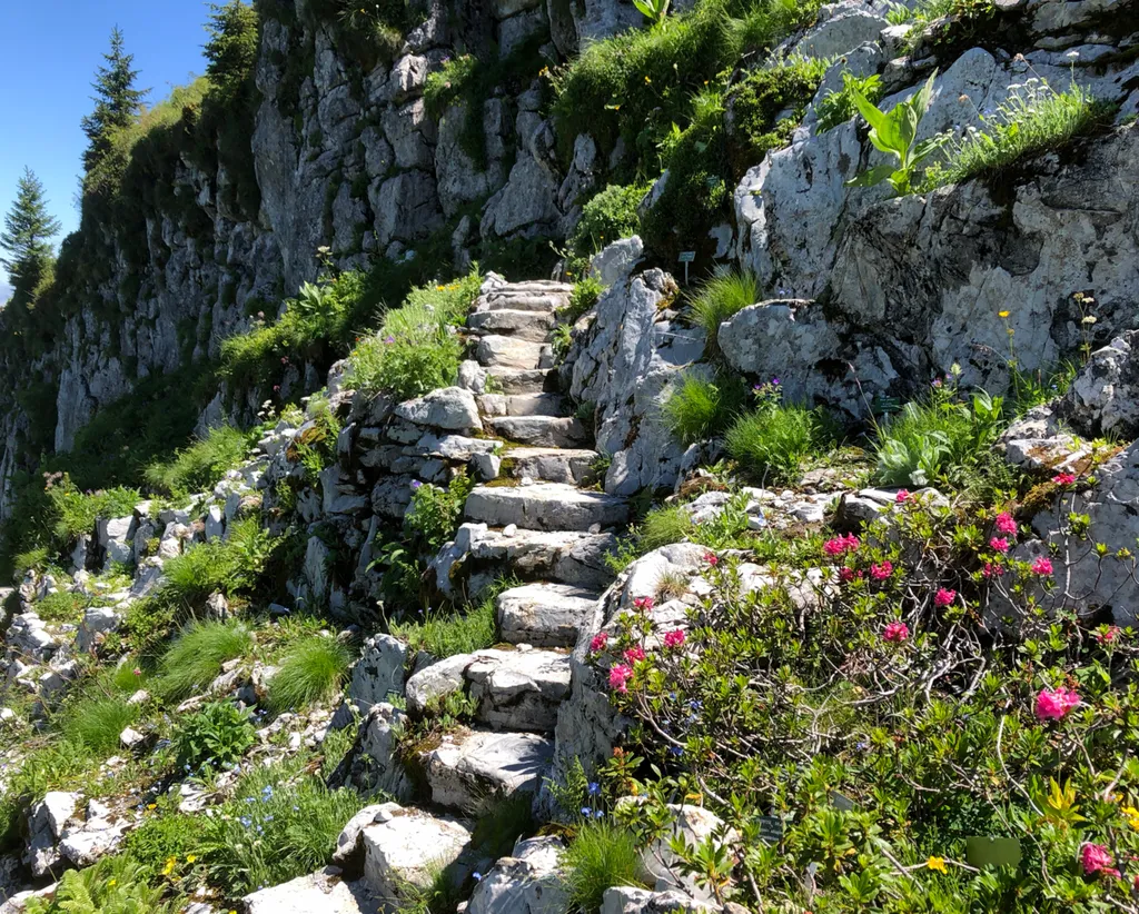 Escalier et rocailles