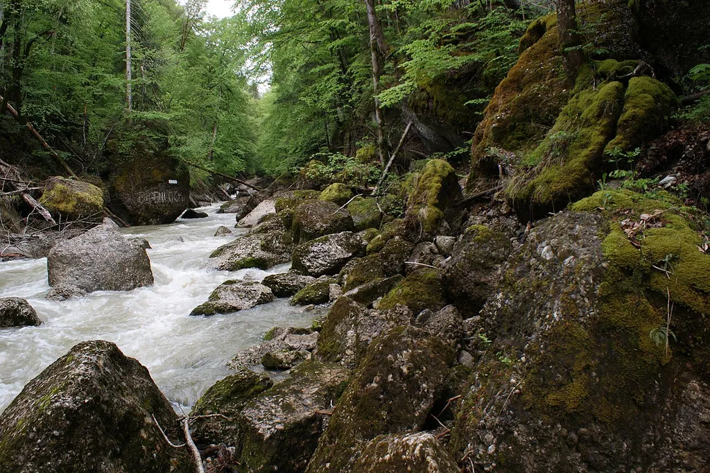 Engenlochschlucht (gorge) in the municipality of Hittisau in Vorarlberg, Austria. The Bolgenach flows through the Engenloschschlucht.
