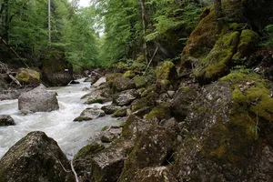 Naturpark Nagelfluhkette Austrian part