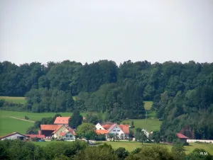 Schellenberg