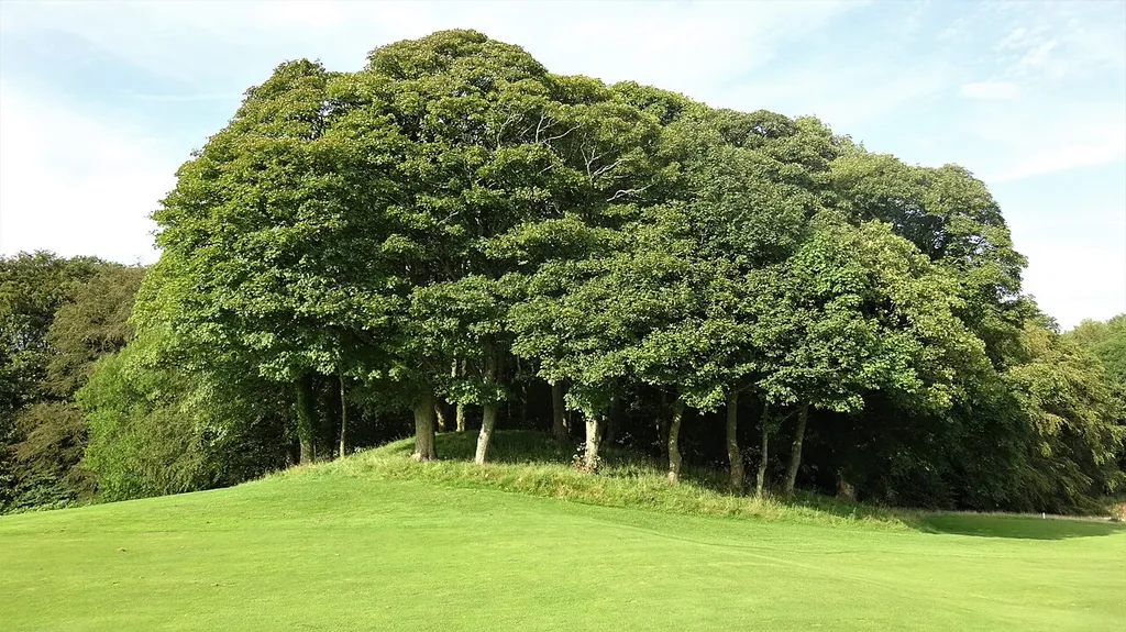 The Castle or Motte Hill, Caprington, East Ayrshire, Scotland. View from the south.