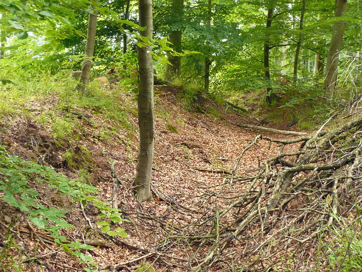 Burggraben der Spiegelburg