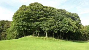 Castle Hill, Caprington