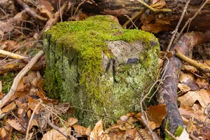 Grenzstein Fürther Stadtwald in Fürth