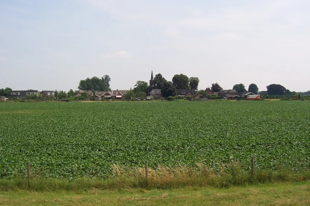 Olburgen