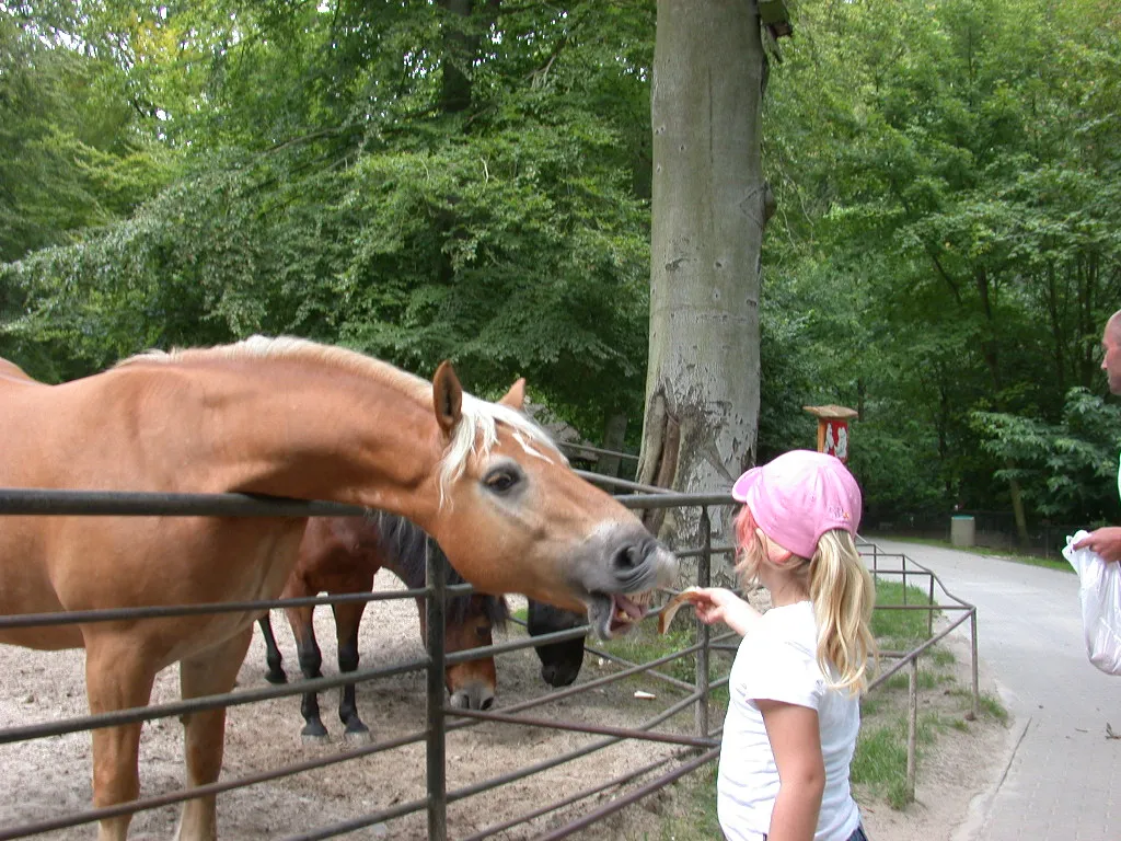 Sassnitz Wildlife Park
