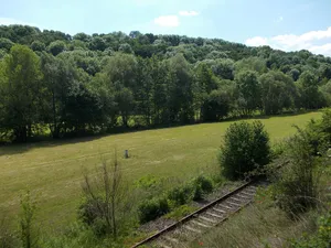 Kuckenburger Hagen