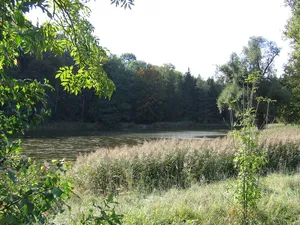 Salemer Klosterweiher