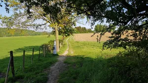 Belgium-Netherlands boundary stone no. 18
