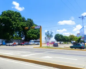 Barinas