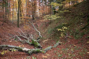 Burgställe in Landkreis München