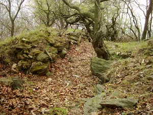 Starý Žeberk