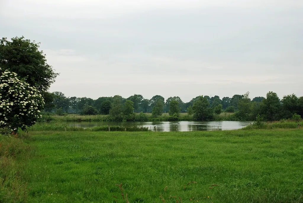 Das Frauenmeer in Timmel / Niedersachsen