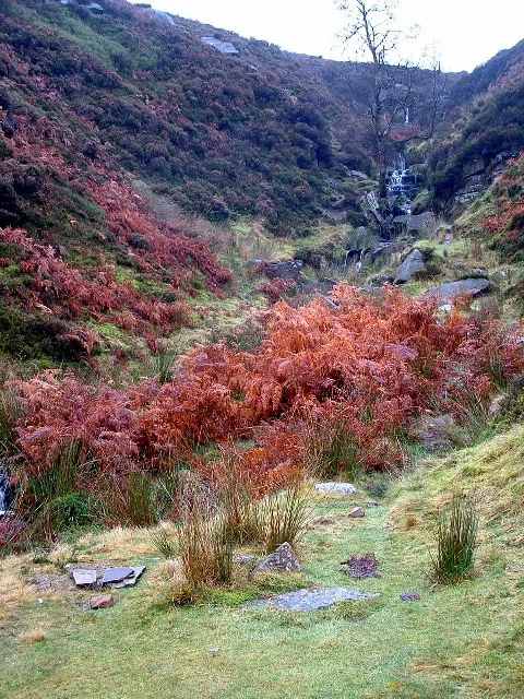 Bronte Falls. Some of the footpath signs in the area are in Japanese
