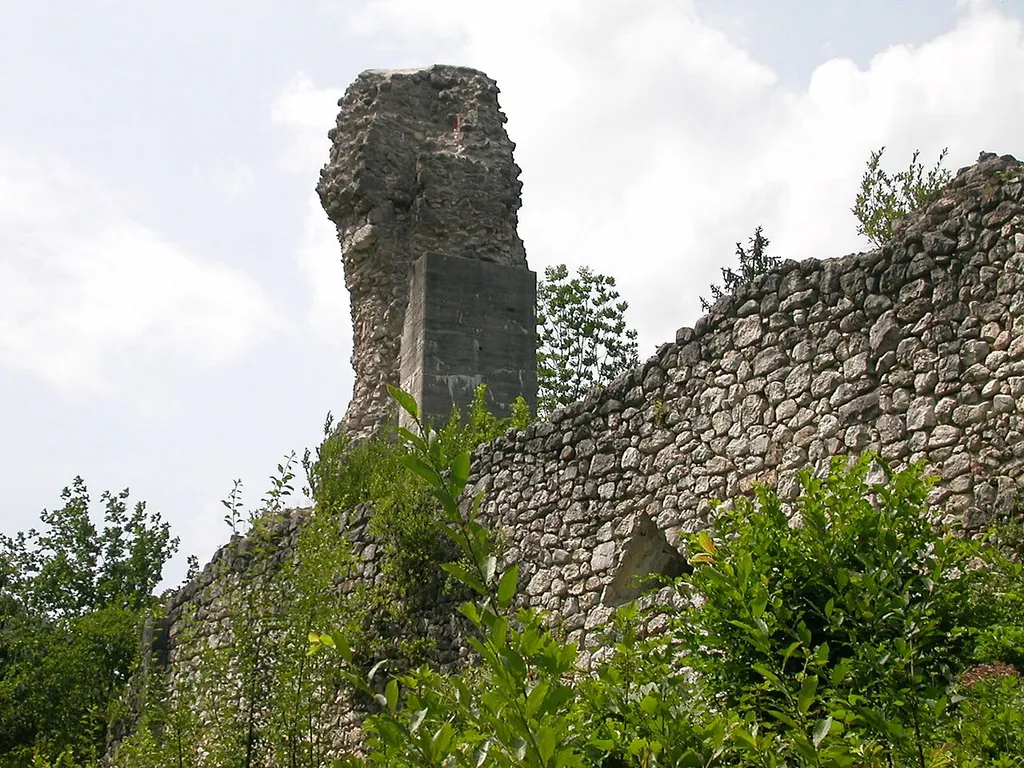 Burg Wildenstein (Bad Ischl)