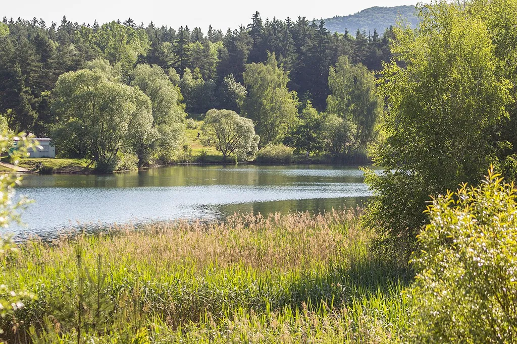 Birkensee, Nürnberger Land, VSG Nürnberger Reichswald (WDPA-ID 555537802)