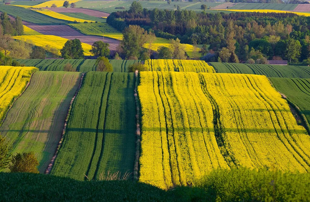Krzczonów Landscape Park