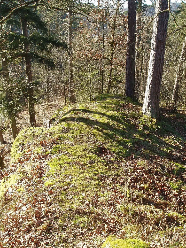 Burg Neuaist